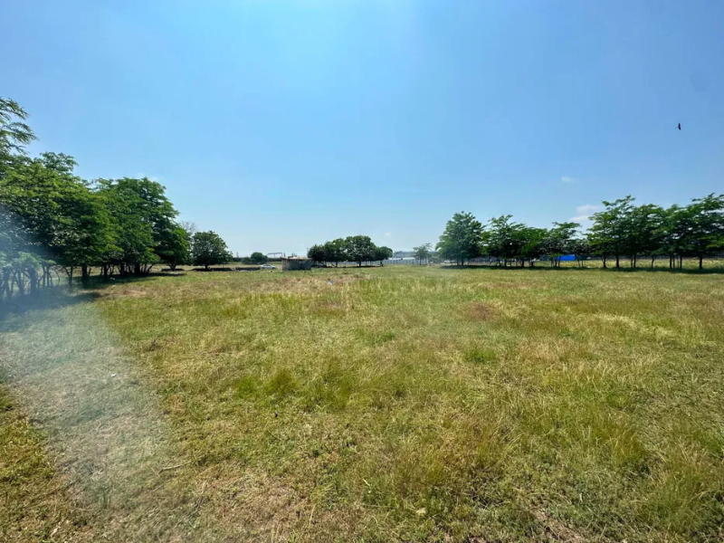 Teren intravilan 5.000 m² – zona Ancora, Constanța